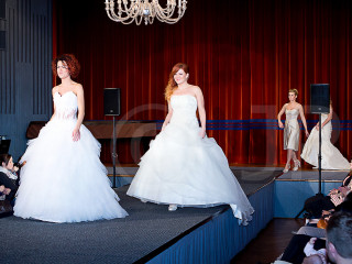 Foto 40132 im Album