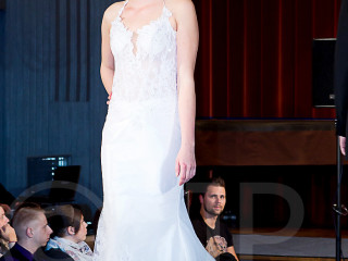 Foto 40138 im Album