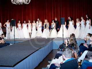 Foto 40142 im Album