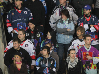 Foto 42549 im Album