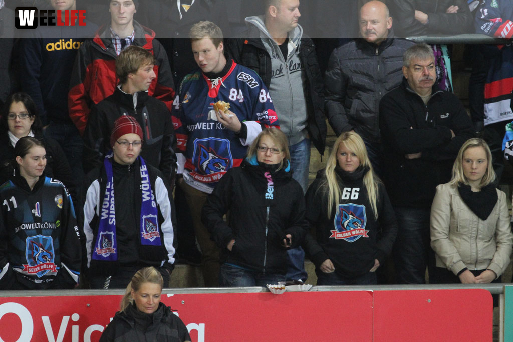 Selber Wölfe - Schweinfurt Mighty Dogs