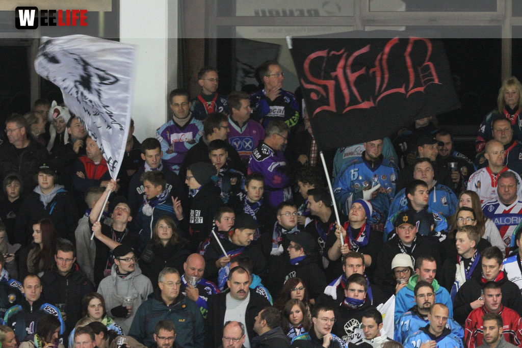 Selber Wölfe - Schweinfurt Mighty Dogs