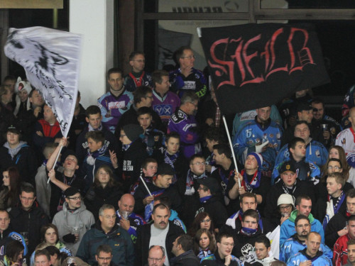 Selber Wölfe - Schweinfurt Mighty Dogs – Foto 8