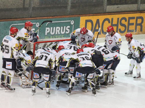 Selber Wölfe - Schweinfurt Mighty Dogs – Foto 20