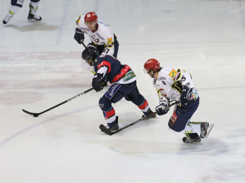 Selber Wölfe - Schweinfurt Mighty Dogs – Foto 23