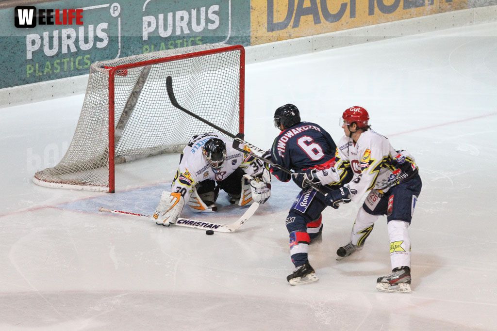 Selber Wölfe - Schweinfurt Mighty Dogs
