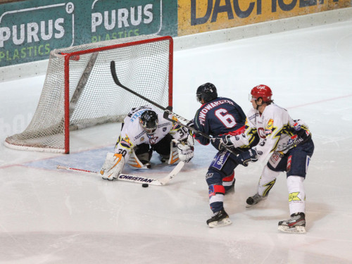 Selber Wölfe - Schweinfurt Mighty Dogs – Foto 24