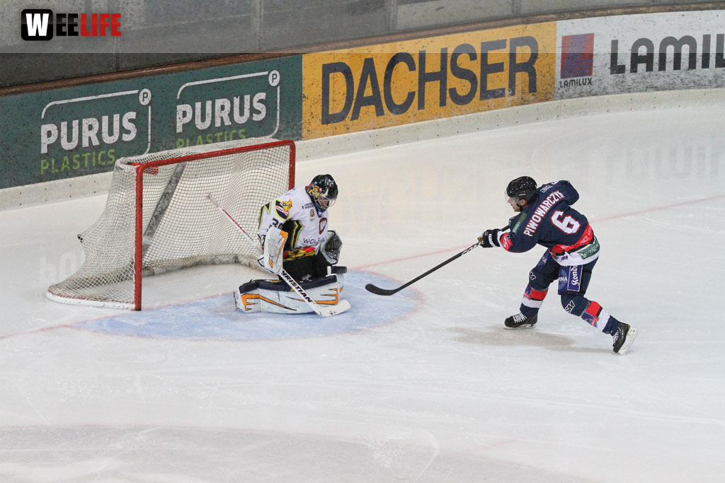 Selber Wölfe - Schweinfurt Mighty Dogs