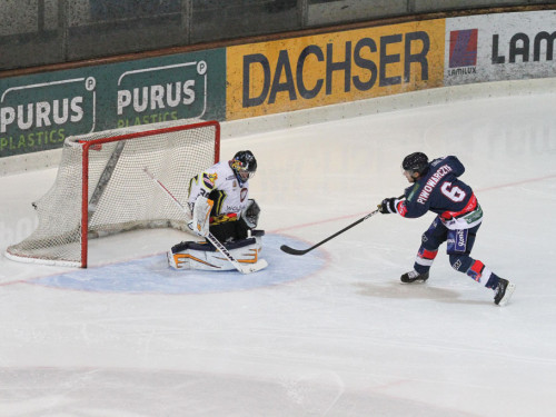 Selber Wölfe - Schweinfurt Mighty Dogs – Foto 26