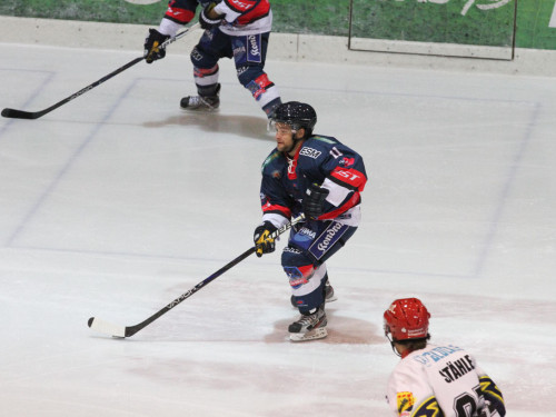 Selber Wölfe - Schweinfurt Mighty Dogs – Foto 33