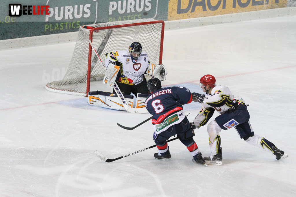 Selber Wölfe - Schweinfurt Mighty Dogs