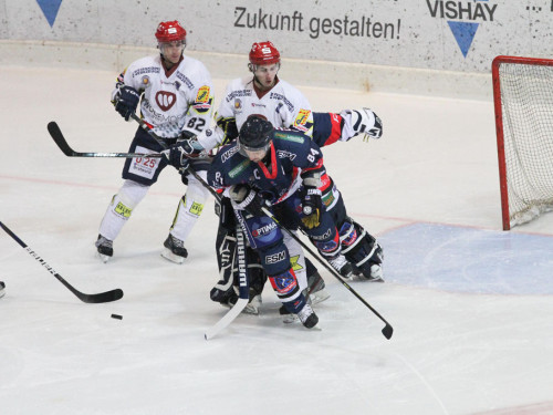 Selber Wölfe - Schweinfurt Mighty Dogs – Foto 36