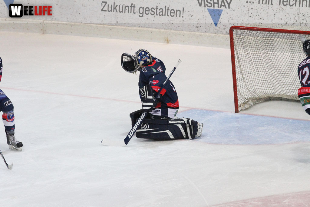 Selber Wölfe - Schweinfurt Mighty Dogs