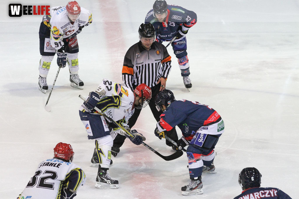 Selber Wölfe - Schweinfurt Mighty Dogs