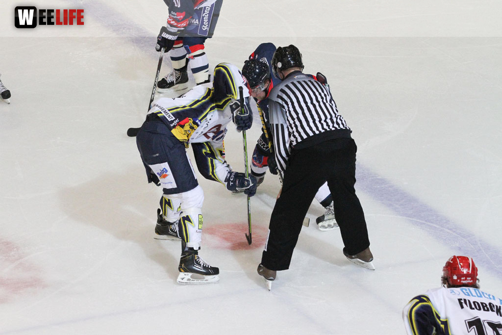 Selber Wölfe - Schweinfurt Mighty Dogs