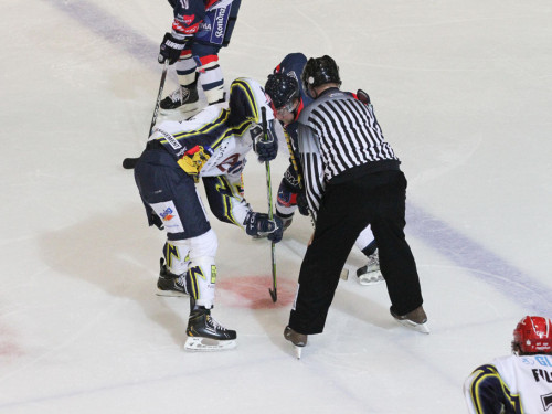Selber Wölfe - Schweinfurt Mighty Dogs – Foto 43