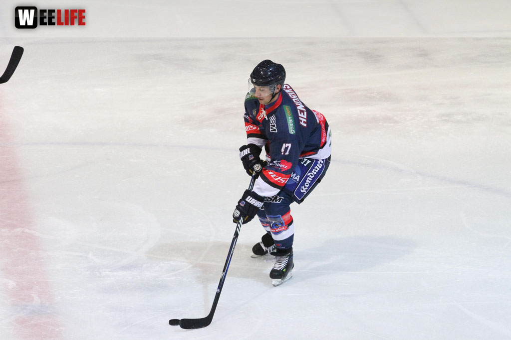 Selber Wölfe - Schweinfurt Mighty Dogs