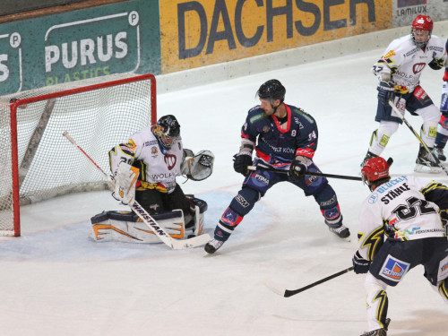 Selber Wölfe - Schweinfurt Mighty Dogs – Foto 50