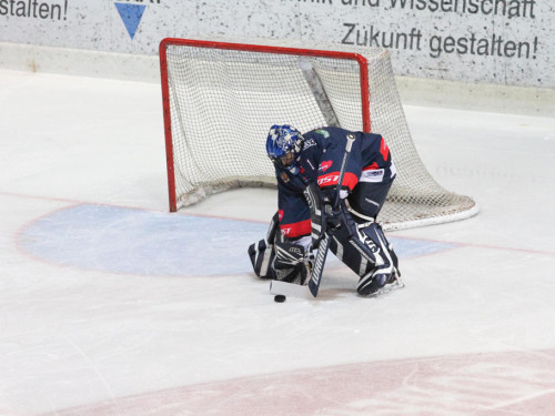 Selber Wölfe - Schweinfurt Mighty Dogs – Foto 51