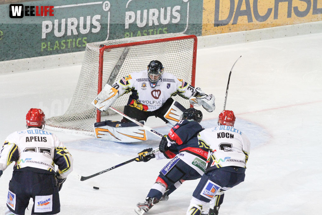 Selber Wölfe - Schweinfurt Mighty Dogs