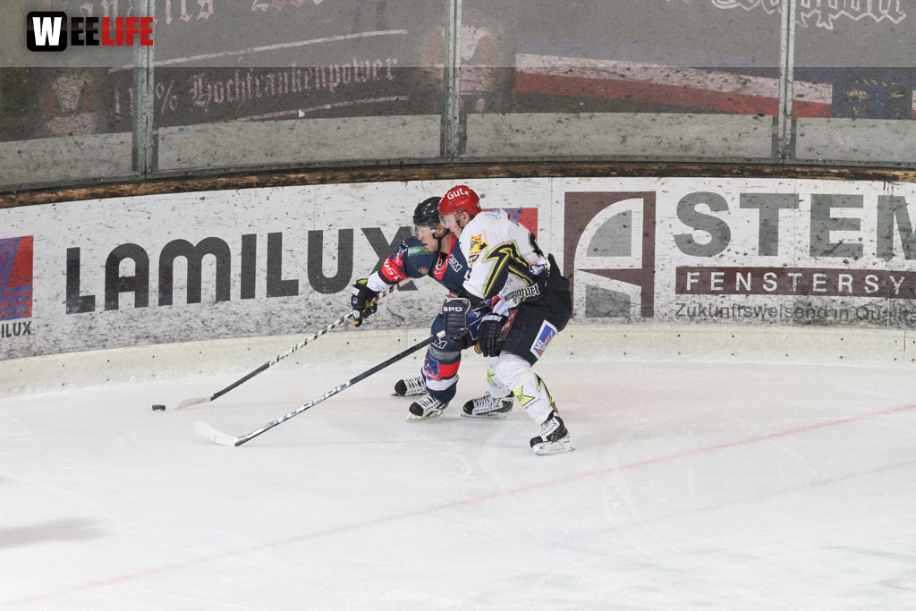 Selber Wölfe - Schweinfurt Mighty Dogs