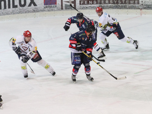 Selber Wölfe - Schweinfurt Mighty Dogs – Foto 56
