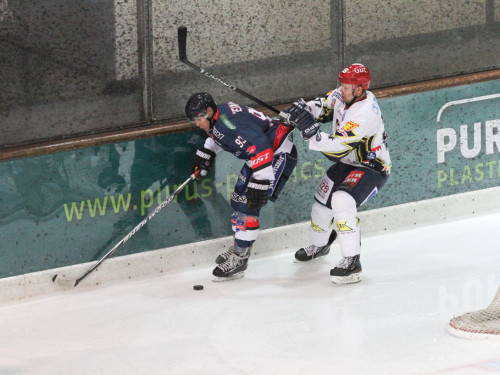 Selber Wölfe - Schweinfurt Mighty Dogs – Foto 59