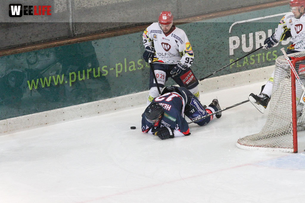 Selber Wölfe - Schweinfurt Mighty Dogs
