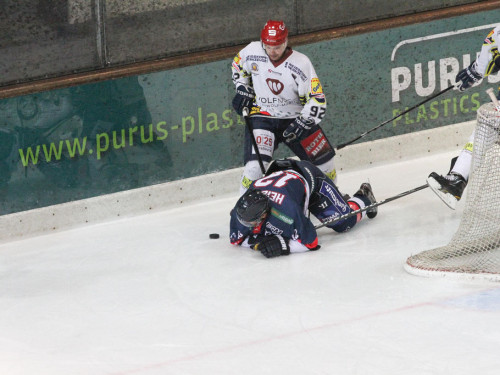 Selber Wölfe - Schweinfurt Mighty Dogs – Foto 60