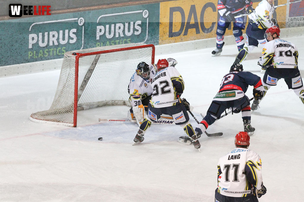Selber Wölfe - Schweinfurt Mighty Dogs