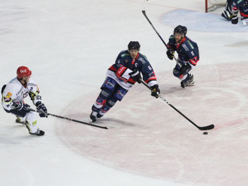 Selber Wölfe - Schweinfurt Mighty Dogs – Foto 64