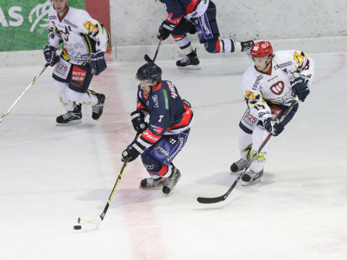 Selber Wölfe - Schweinfurt Mighty Dogs – Foto 68