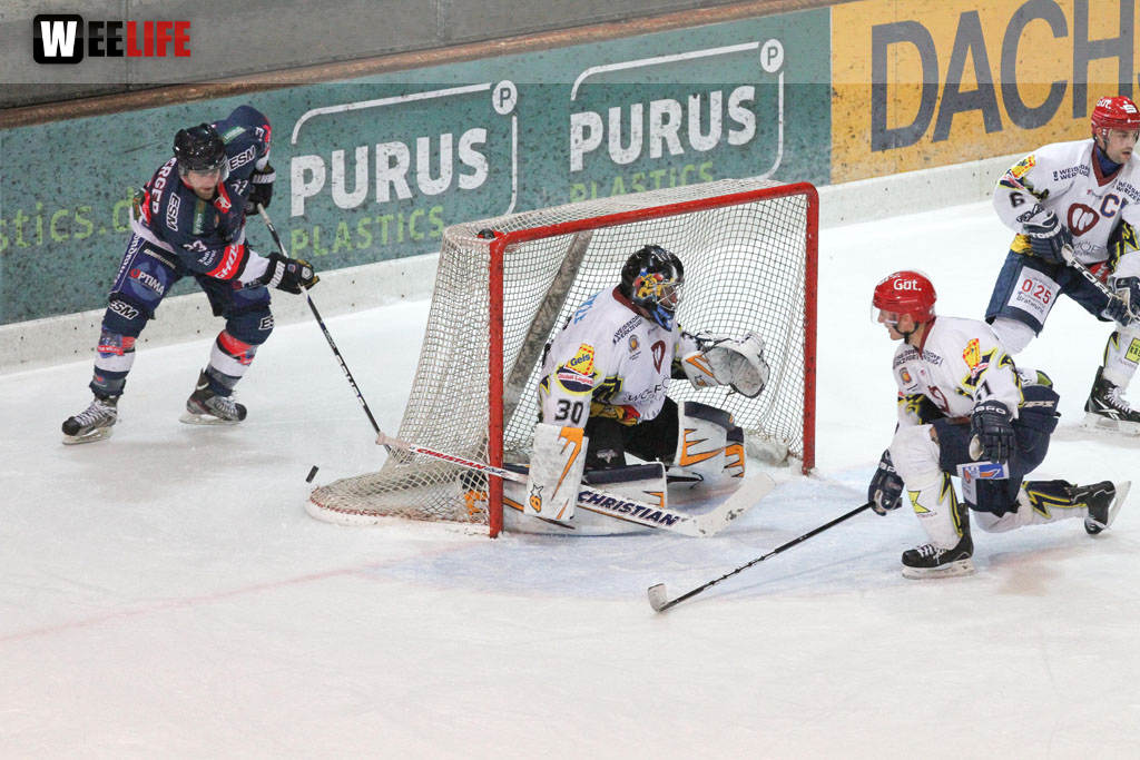 Selber Wölfe - Schweinfurt Mighty Dogs