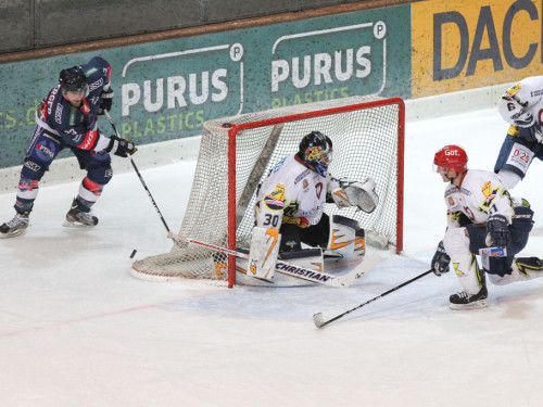 Selber Wölfe - Schweinfurt Mighty Dogs – Foto 74