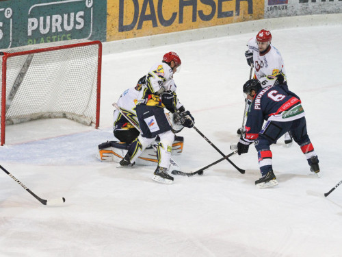 Selber Wölfe - Schweinfurt Mighty Dogs – Foto 76
