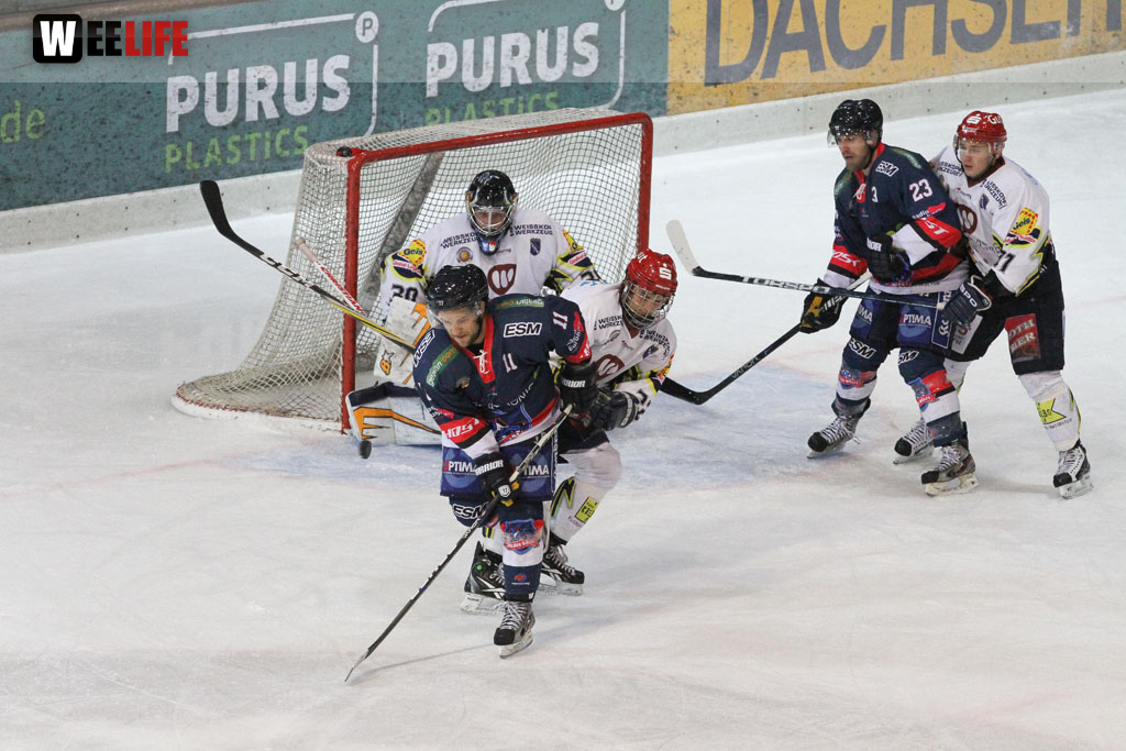 Selber Wölfe - Schweinfurt Mighty Dogs