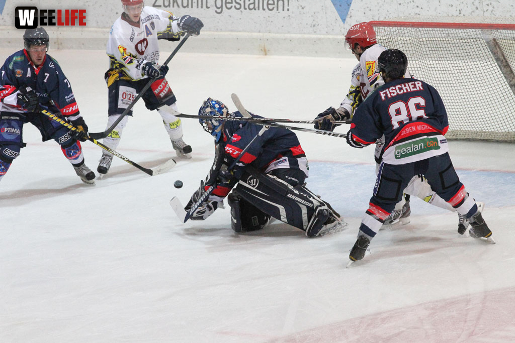 Selber Wölfe - Schweinfurt Mighty Dogs