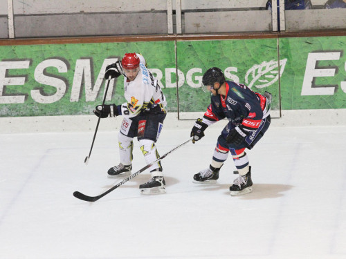 Selber Wölfe - Schweinfurt Mighty Dogs – Foto 85