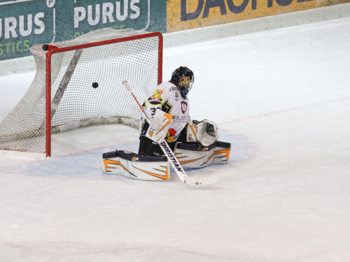 Selber Wölfe - Schweinfurt Mighty Dogs – Foto 86
