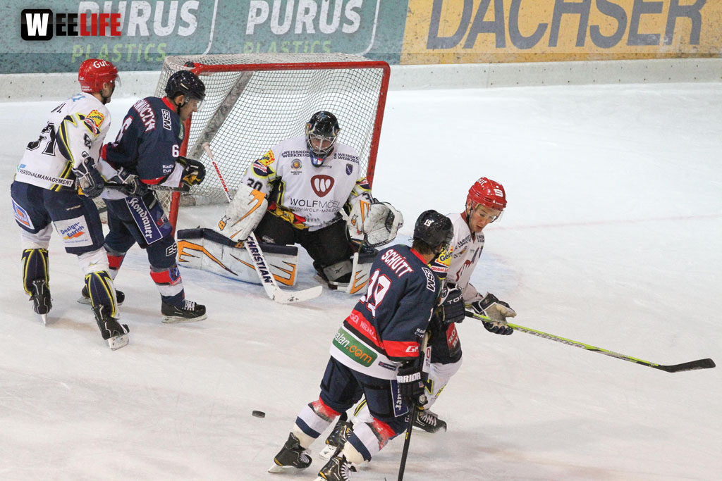 Selber Wölfe - Schweinfurt Mighty Dogs