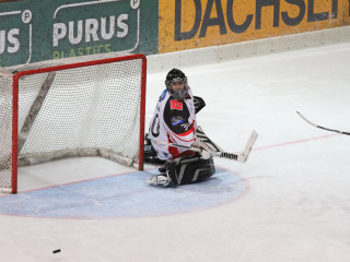 Foto 42999 im Album