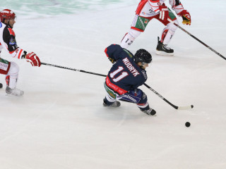 Foto 43000 im Album