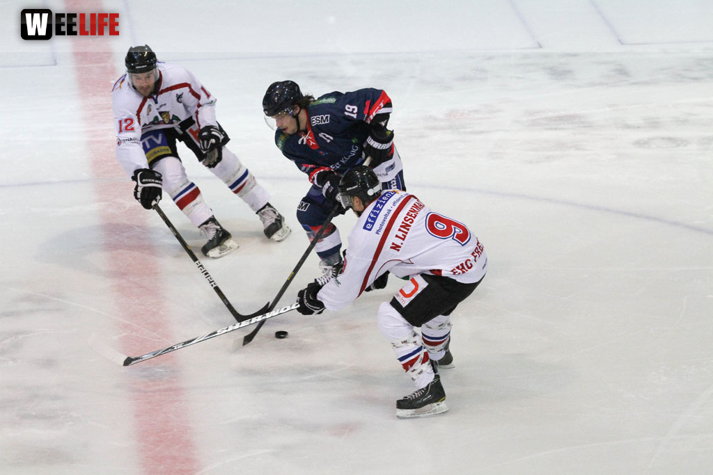 Selber Wölfe - EHC Freiburg