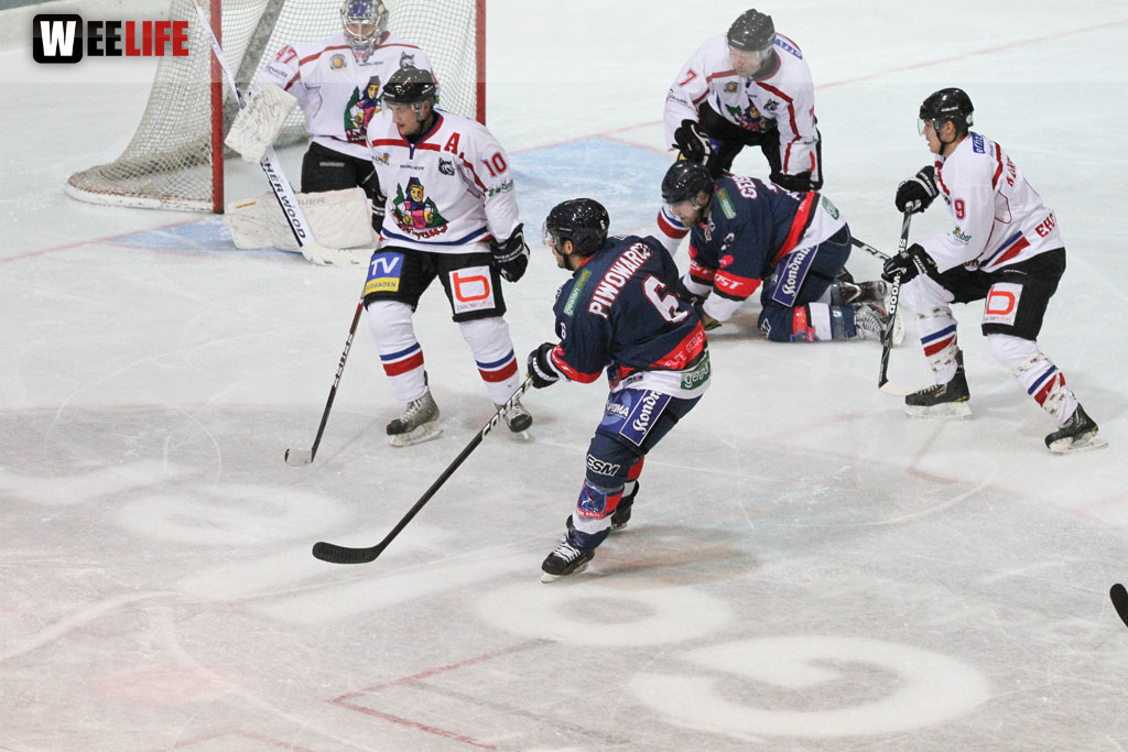 Selber Wölfe - EHC Freiburg