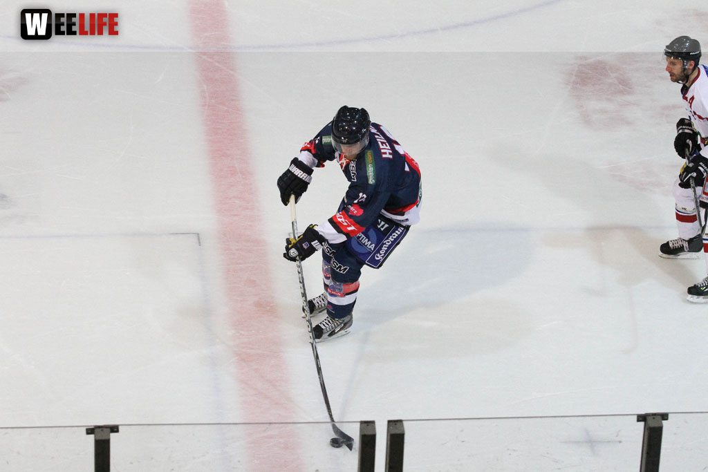 Selber Wölfe - EHC Freiburg
