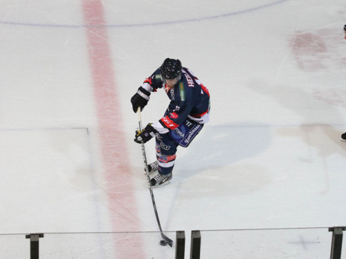Selber Wölfe - EHC Freiburg – Foto 10