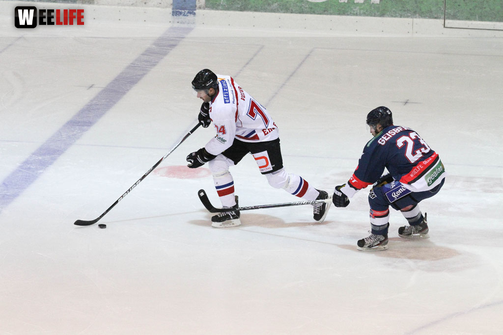 Selber Wölfe - EHC Freiburg