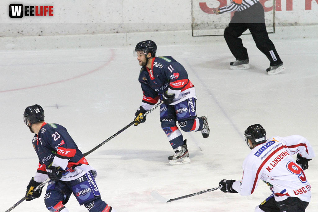 Selber Wölfe - EHC Freiburg