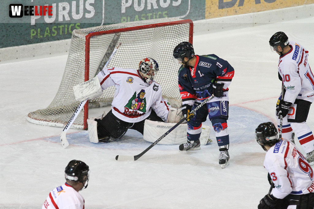 Selber Wölfe - EHC Freiburg