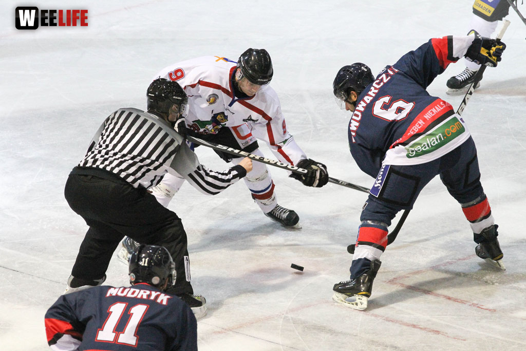 Selber Wölfe - EHC Freiburg